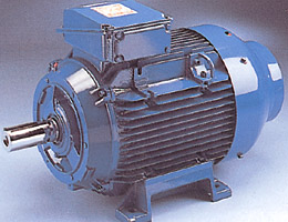 STM Rewinds Limited Electric Motor
